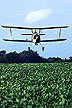 Low-insecticide bait application on soybeans