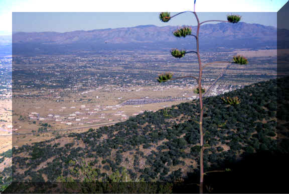 Urbanization of San Pedro Valley (Arizona)
