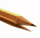 Picture of the tip of a pencil