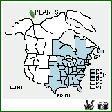 Distribution of Fragaria virginiana Duchesne ssp. virginiana. . Image Available. 