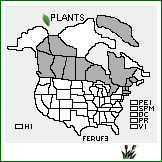 Distribution of Festuca rubra L. ssp. fallax (Thuill.) Nyman. . 