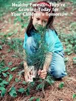 Photo of a girl planting a tree