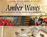 Amber Waves cover, February 2007
