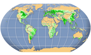 global map