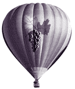 Hot air balloon