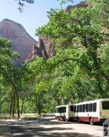 En el parque Zion autobuses reemplazan a vehículos privados