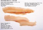 Haddock Fish image