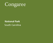 Congaree National Park