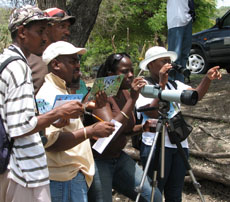 Participants in a workshop on the importance of Caribbean wetlands learn to identify birds on the island of Carriacou. Credit: Lisa Sorrenson - Society for the Conservation and Study of Caribbean Birds