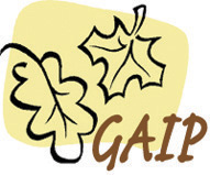 gaip logo