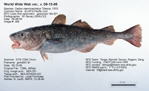 Pacific Cod Fish image