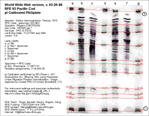 IEF Calibrated Gel image