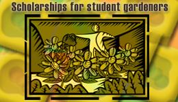 Scholarships for student gardeners
