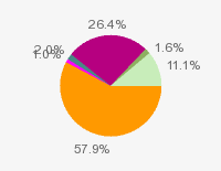 Pie chart: in table form below