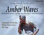 Amber Waves cover, February 2008