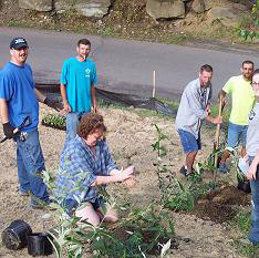 Volunteers with community members planting greenery.