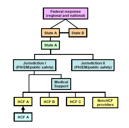 Flow chart depicts levels in the decisionmaking process.  At the top of the chart is a box labeled 'Federal response(regional and national),' connected by lines to two boxes below labeled 'State A' and 'State B'; a line between these two boxes also connects them to each other.  Beneath 'State A' is another box also labeled 'State A'; two lines connect this box to two boxes below it labeled 'Jurisdiction I (PH/EM/public safety)' and 'Jurisdiction II (PH/EM/public safety).'  'Jurisdiction I' is connected to 5 boxes beneath it; the first, on a level above, is labeled 'Medical Support' and in a row below it are 4 boxes labeled 'HCF A,' 'HCF B,' 'HCF C,' 'HCF D.'  Beneath 'HCF A' is another box also labeled 'HCF A' with an arrow pointing up between the two.