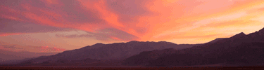 Sunset is when most desert wildlife awakes.