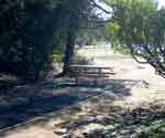 Accessible picnic site at Oak Bottom.
