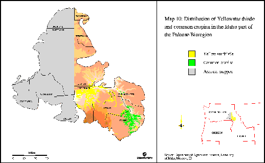 bweedsm.gif - map illustrating the distribution of Yellowstar thistle and common crupina in the Idaho part of the Palouse bioregion.