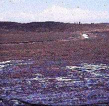 mudcrsm.gif - photo of muddy field