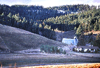 violaforsm.gif - photo showing farm in front of coniferous forest