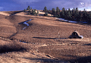 violasm.gif - photo of farmland