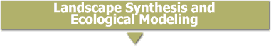 Landscape Synthesis and Ecological Modeling