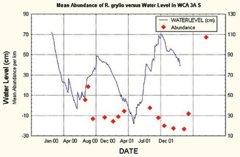 graph showing mean abundance (animals/km) of Rana grylio from Water Conservation Area 3A