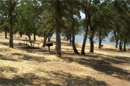 Non-interactive Picture of a picnic area at New Melones