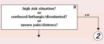 Detail from ESI Triage Algorithm. Box B is labeled 'high risk situation? or confused/lethargic/disoriented? or severe pain/distress?' with an arrow labeled 'Yes' pointing to a 2 in a circle and a second arrow pointing downward.