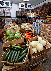 Photo: Boxes of fruits and vegetables. Link to photo information