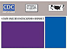 cover of state injury indicators report