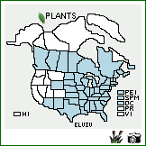 Distribution of Elymus virginicus L. var. virginicus. . Image Available. 