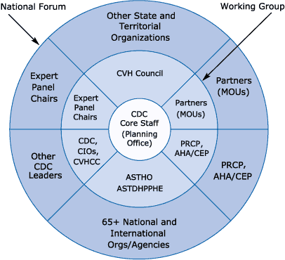 Organizational Structure of the Action Plan Planning Process.