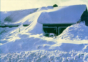 house buried in snow