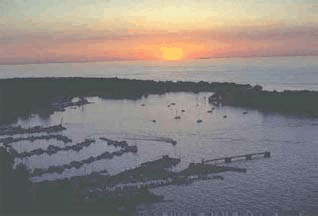 Nearshore Lake Erie