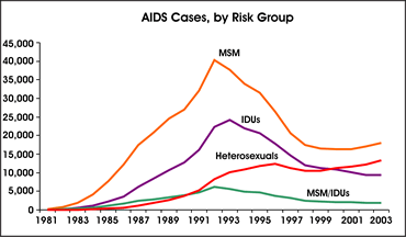 AIDS Cases, by Risk Group