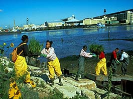 Community members restore an urban marsh.