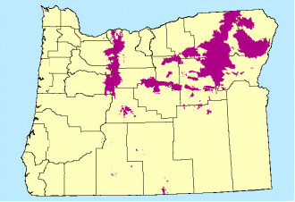 Extensive defoliation was detected in the Blue Mountains and eastsides of the Cascades in northern Oregon