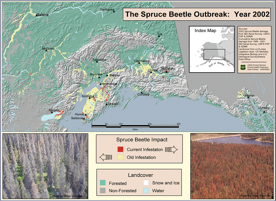 Locations of spruce beetle activity in Alaska in 2002