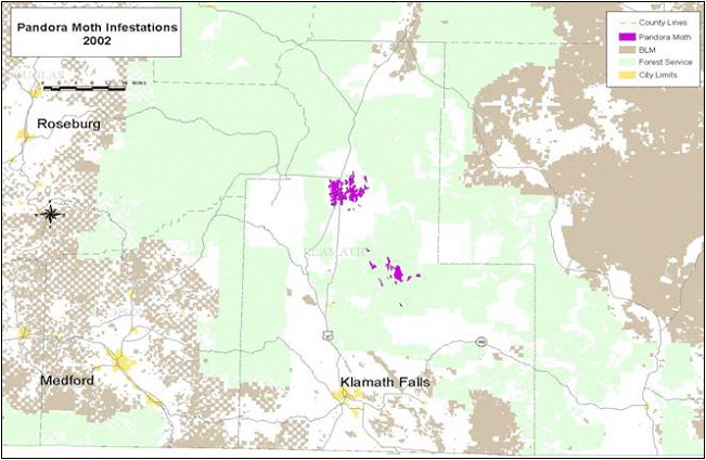 Defoliation of lodgepole pine by pandora moth was detected north of Klamath Falls in 2002.