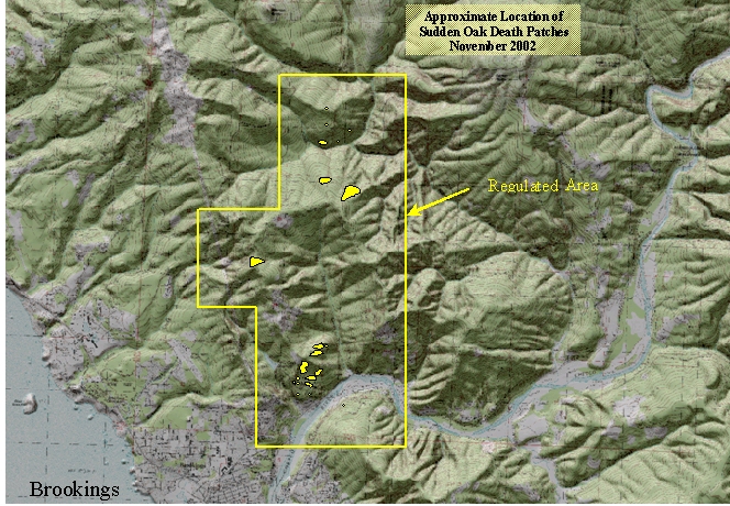Location of sudden oak death patches and regulated area in southwestern Oregon.