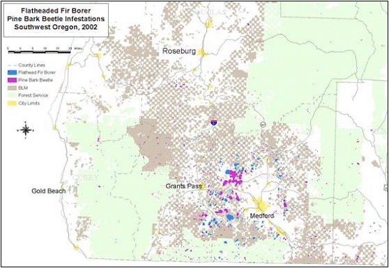 Distribution of Douglas-fir mortality attributed to flatheaded fir borer and pine mortality attributed to bark beetles in southwest Oregon as detected by the annual aerial survey.
