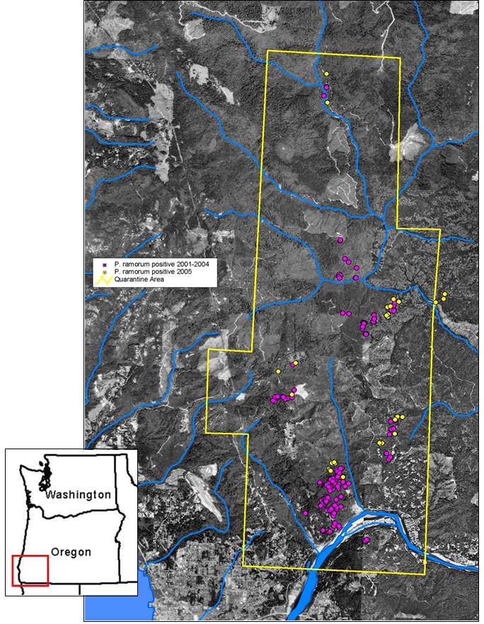 Location of trees infected with Phytophthora ramorum, and the Sudden Oak Death Quarantine area in southwest Oregon
