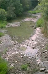 Freshwater - image of an intermittent stream photo by Ohio EPA