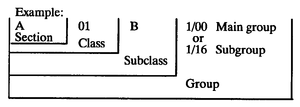 example of a complete classification string for an application in the international classification system