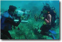 underwater filming