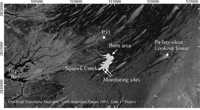 satellite image of Squawk Creek burn area