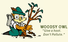 [Image]: Woodsy Owl.